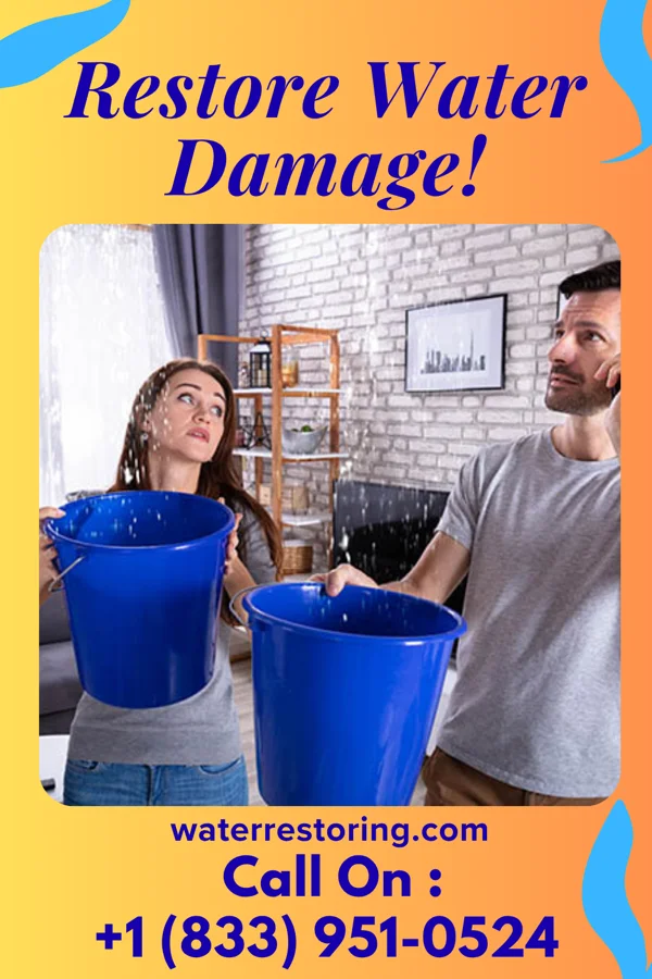 water restoration Liberty Water Removal Company Morton