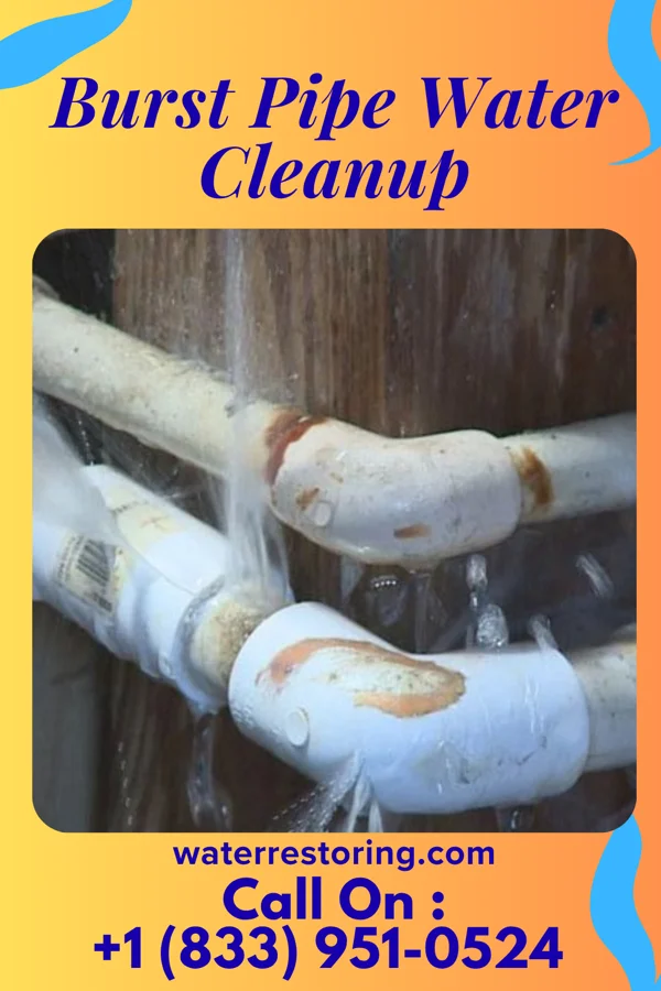 Burst Pipe Water Cleanup in Morton, MN