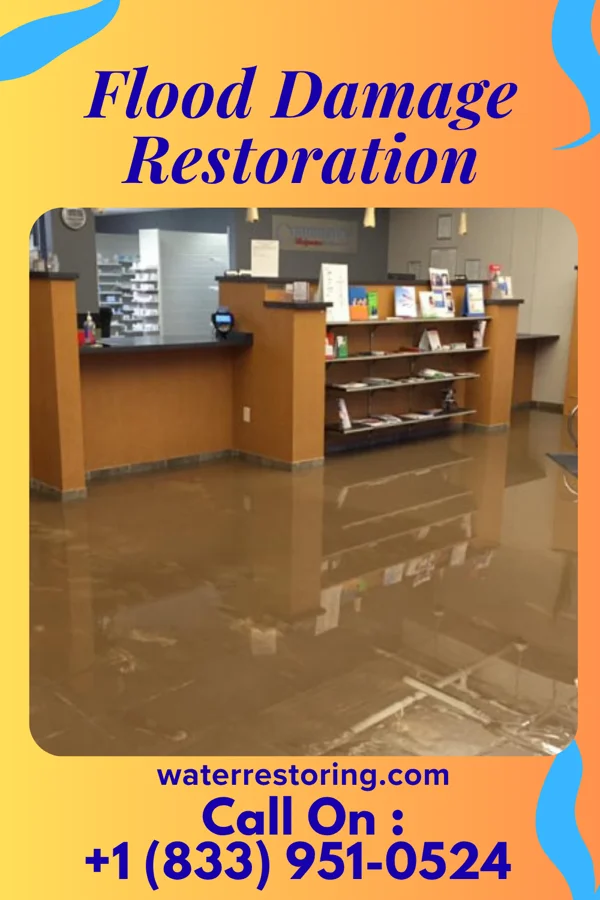 Flood Damage Restoration in Morton, MN