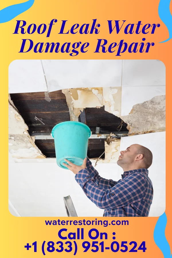 Roof Leak Water Damage Repair in Morton, MN