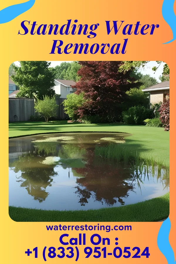 Standing Water Removal in Morton, MN